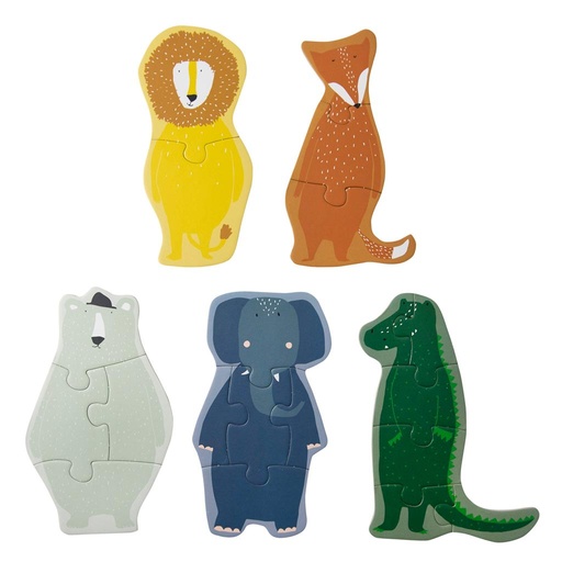 Shape puzzle multi color 