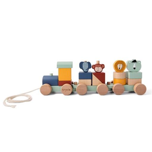 Trein dieren multi color