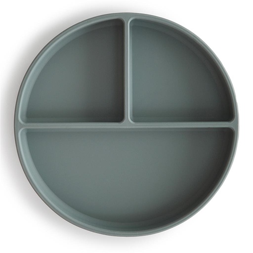 Plate silicone (3 compartments) dried thyme 