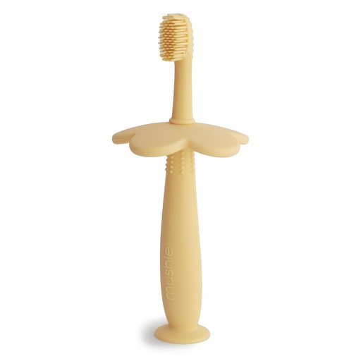Toothbrush flower pale daffodil 