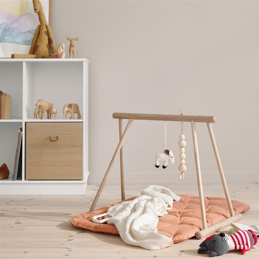 Gymnastique pour bébés  