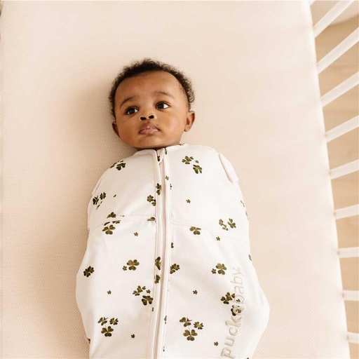 Inbakerslaapzak mini cotton TS (3-6m) lucky clover 