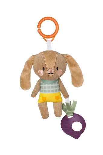 Jenny The Bunny  
