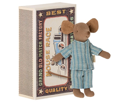 Big brother mouse in matchbox  