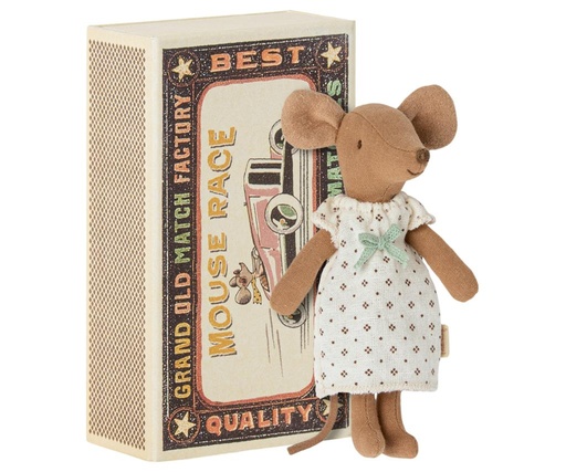 Grande sœur souris dans une boîte d'allumettes  
