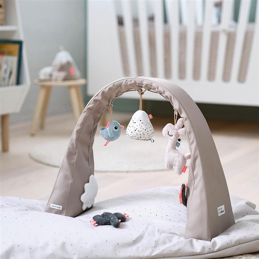 Activity gym Lalee  