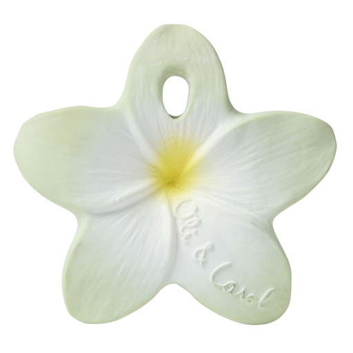 Teething ring flower mint 