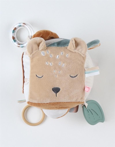 Activity cube Babou&Kendi  