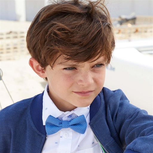 Nœud papillon Hector blue dots TU