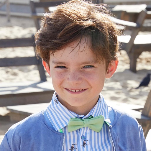Bow Hannes green TU