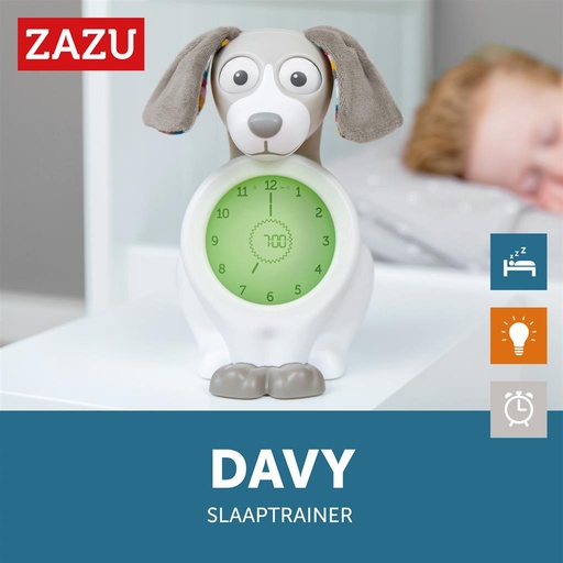 Sleep trainer dog Davy