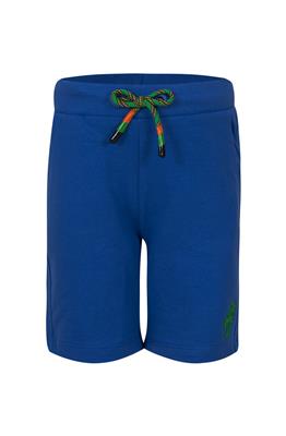 Korte broek van blue