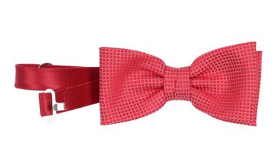 Nœud papillon Flotteboy rood ONE SIZE