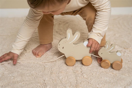 Trekdier konijn baby bunny  